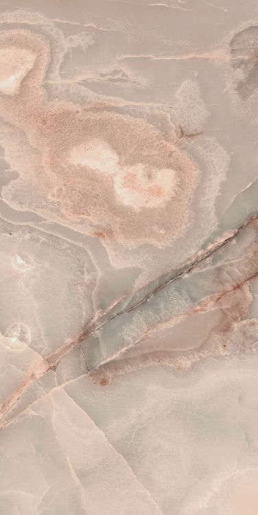Reves Rose Matte 24 x 48